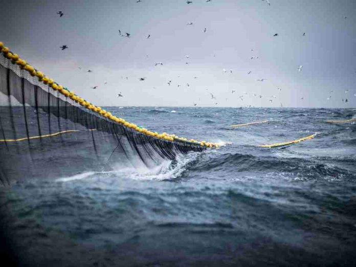 El Niño: cautos, no pasivos