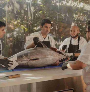 En el mes de los océanos, Chile incorpora atún aleta azul al mercado gastronómico bajo estándares de clase mundial
