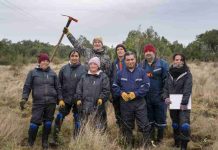 Festival Pala en Mano busca restaurar bosque nativo degradado en Puerto Varas Festival Pala en Mano busca restaurar bosque nativo degradado en Puerto Varas