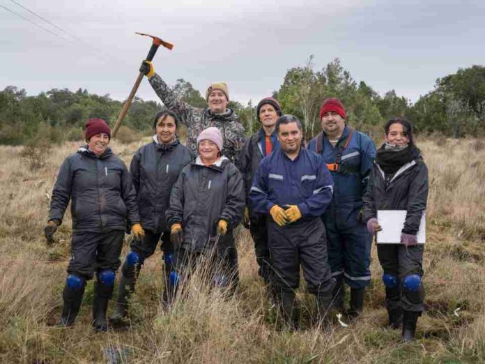 Festival Pala en Mano busca restaurar bosque nativo degradado en Puerto Varas (1) Festival Pala en Mano busca restaurar bosque nativo degradado en Puerto Varas