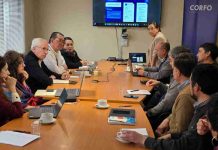 Industria salmonicultora avanza hacia una nueva etapa: PTI articulado por Corfo Los Lagos proyecta desafíos y oportunidades para el territorio