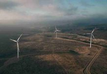 Impuesto Verde en regiones: formas de reducir la carga con tecnología 