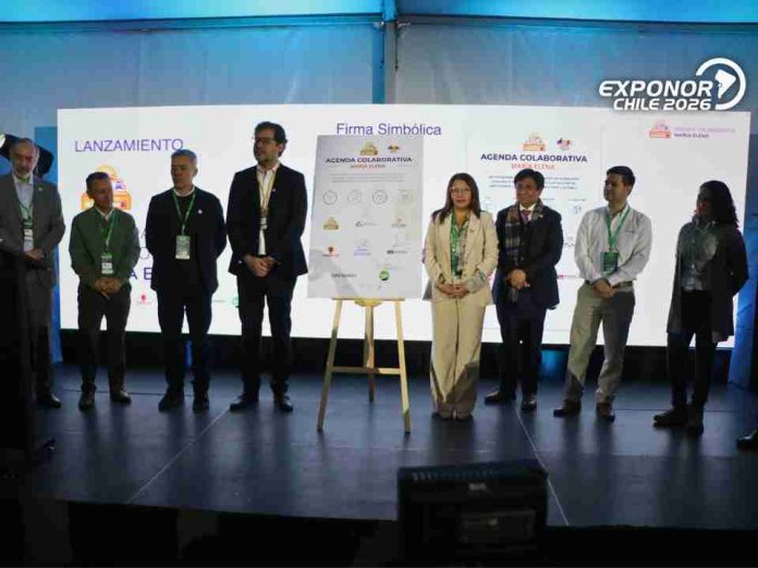 María Elena presenta Agenda Colaborativa que será el motor de su desarrollo rumbo al centenario de la comuna 