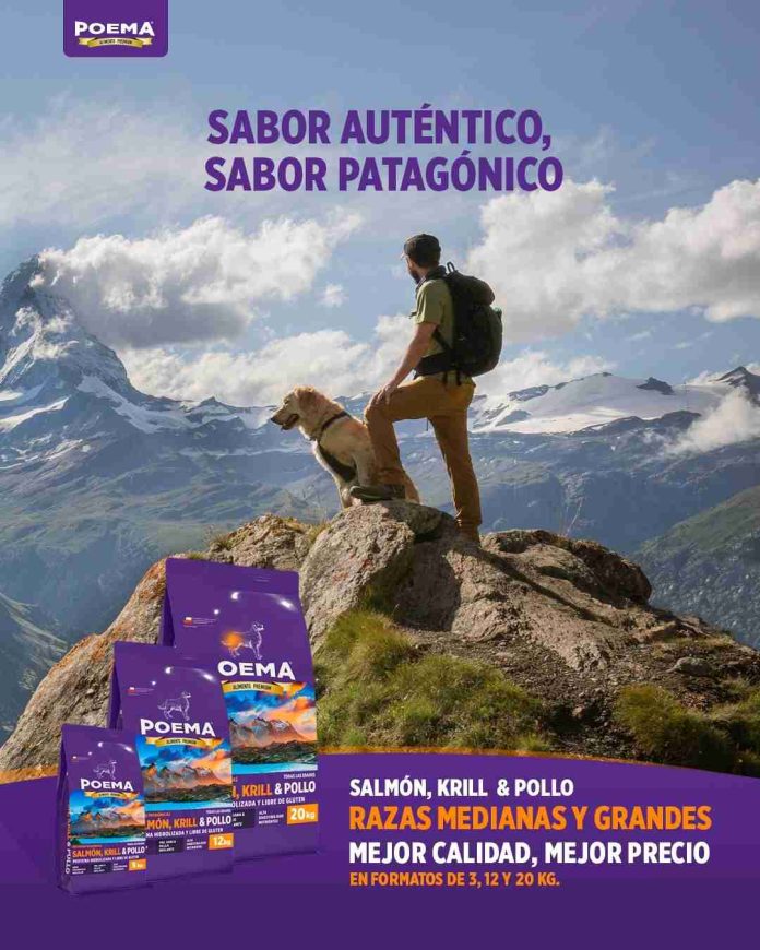 Nueva fórmula chilena para perros incorpora uno de los antioxidantes más potentes del mundo Nueva fórmula chilena para perros incorpora uno de los antioxidantes más potentes del mundo