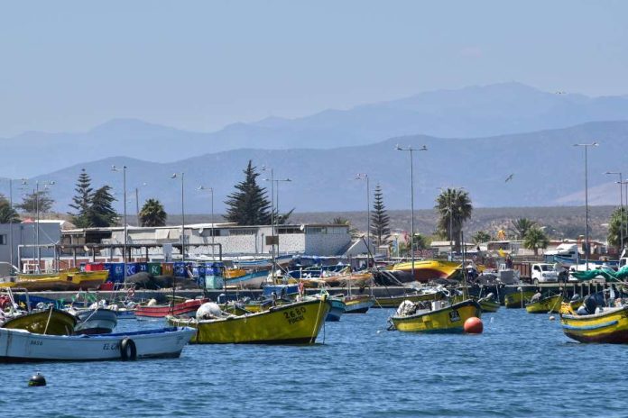 ONU presenta nueva Evaluación Mundial de los Océanos con llamado a proteger los beneficios del océano para la humanidad