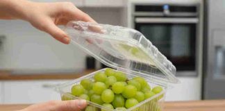 Reportaje | Industria local de envases para frutas busca aportar al Medio Ambiente reduciendo el uso de plástico