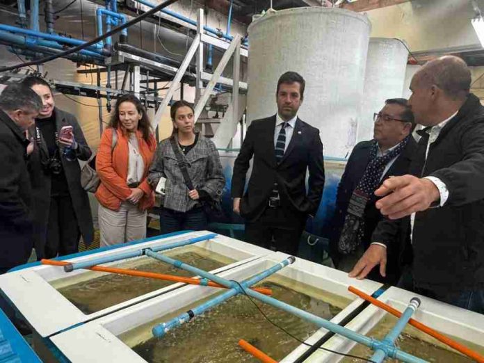 Summit Acuícola 2026 abordó en la UCN los desafíos tecnológicos para fortalecer la industria nacional