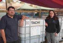 Tachi: La startup que transforma microalgas de agua dulce en la solución contra la crisis hídrica y climática en el agro