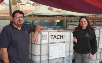 Tachi: La startup que transforma microalgas de agua dulce en la solución contra la crisis hídrica y climática en el agro