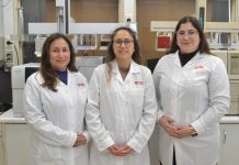 Reportaje | UCSC desarrollará tecnología para tratar aguas contaminadas a partir de residuos de moluscos UCSC desarrollará tecnología para tratar aguas contaminadas a partir de residuos de moluscos