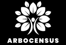 Árboles en riesgo: La app que usa IA y datos de vecinos para ayudar a prevenir caídas