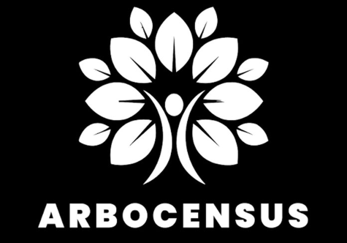 Árboles en riesgo: La app que usa IA y datos de vecinos para ayudar a prevenir caídas