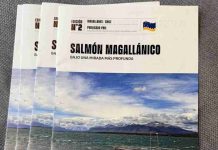 Asociación de Salmonicultores de magallanes presentó segundo número de boletín "Salmón magallánico bajo una mirada más profunda"