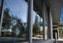 Blindaje: una industria en evolución que tendrá un espacio destacado en SeguridadExpo Blindaje: una industria en evolución que tendrá un espacio destacado en SeguridadExpo
