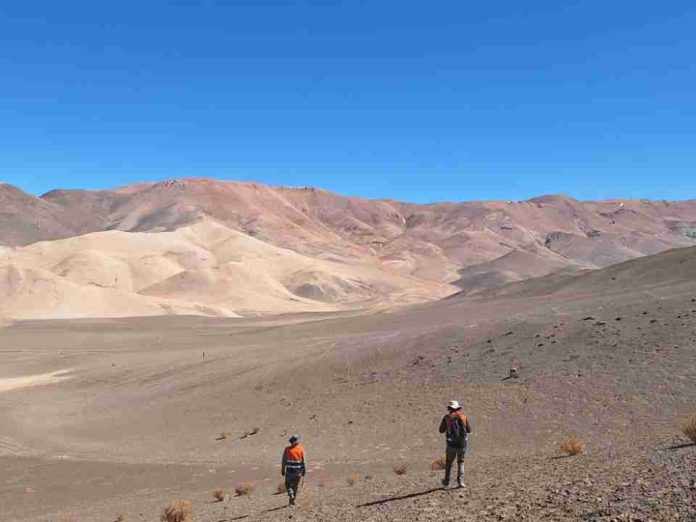 Científicos posicionan a Atacama como polo para la investigación y la formación en paleontología