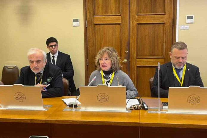 Codelco encarga a KPMG auditoría externa Directorio de Codelco encarga a KPMG auditoría externa de los reportes de producción 2024 y 2025