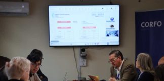 Corfo y el Comité de Desarrollo Productivo aprueban nuevas iniciativas para apoyar a las empresas de Los Lagos