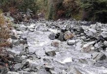 Día Mundial de la Población: desafíos para el agua, el suelo y los territorios Día Mundial de la Población: desafíos para el agua, el suelo y los territorios