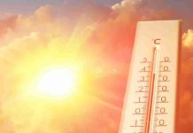 El océano marca la diferencia: por qué Chile no vive las mismas olas de calor que Europa