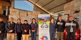 Empresas de Puerto Aysén proyectan innovación regional hacia nuevos mercados