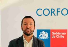 Innovar para crecer: la señal que O’Higgins no puede dejar pasar Innovar para crecer: la señal que O'Higgins no puede dejar pasar