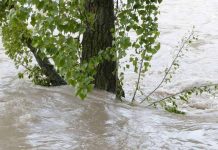 La ciencia explica cómo la lluvia puede hacer colapsar una ladera La ciencia explica cómo la lluvia puede hacer colapsar una ladera