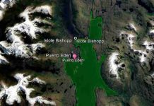 Marea roja: seremi de salud autoriza extracción de cholgas y almejas en sector aledaño a Puerto Edén