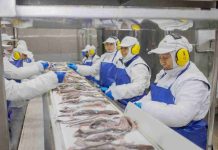 Pescadores Industriales del Biobío consolida liderazgo ambiental con enfoque en producción sostenible, cuidado del entorno y economía circular Pescadores Industriales del Biobío consolida liderazgo ambiental con enfoque en producción sostenible, cuidado del entorno y economía circular