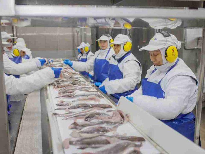 Pescadores Industriales del Biobío consolida liderazgo ambiental con enfoque en producción sostenible, cuidado del entorno y economía circular Pescadores Industriales del Biobío consolida liderazgo ambiental con enfoque en producción sostenible, cuidado del entorno y economía circular