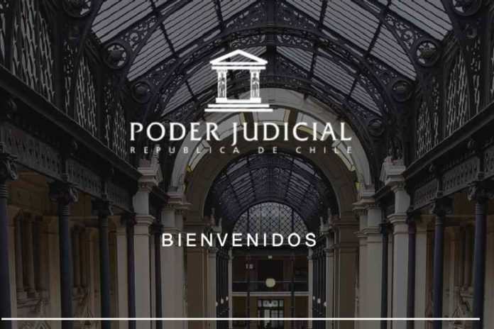 Abogado habría saturado sistema con 38 mil escritos en horas: jueces quieren vetar la IA en tribunales Sistema del Poder Judicial colapsa luego que abogado ingresara más de 38 mil escritos con IA