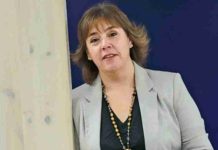 Presidenta del consejo del salmón por acusación y arancel de EE.UU.: “Esto nos preocupa (…) es el principal mercado para el salmón chileno” 