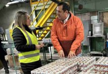 ProChile destaca a empresa forestal del Maule que agrega valor a la madera de álamo ProChile destaca a empresa forestal del Maule que agrega valor a la madera de álamo