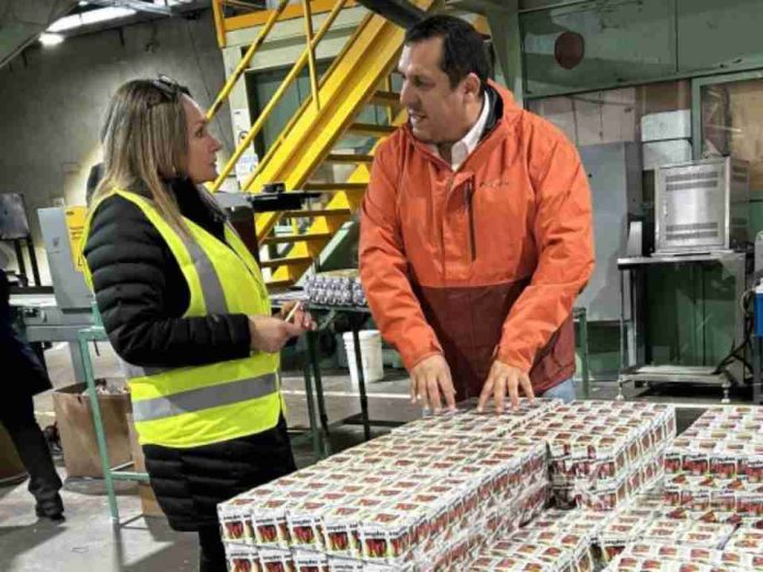 ProChile destaca a empresa forestal del Maule que agrega valor a la madera de álamo ProChile destaca a empresa forestal del Maule que agrega valor a la madera de álamo