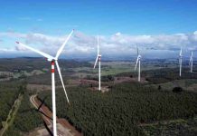 SEIA evalúa parque eólico de USD $150M por impacto en aves del Maule SEIA evalúa parque eólico de USD $150M por impacto en aves del Maule