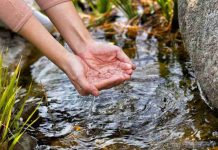 Samsung Electronics publica su Informe de Sostenibilidad 2026 y expande sus esfuerzos de reposición de agua Samsung Electronics publica su Informe de Sostenibilidad 2026 y expande sus esfuerzos de reposición de agua