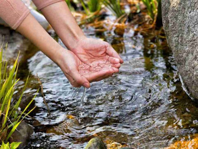 Samsung Electronics publica su Informe de Sostenibilidad 2026 y expande sus esfuerzos de reposición de agua