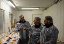 Sercotec Los Lagos destaca crecimiento de PatPot Chips como ejemplo del potencial de las pymes para generar empleo Sercotec Los Lagos destaca crecimiento de PatPot Chips y su aporte a la generación de empleo