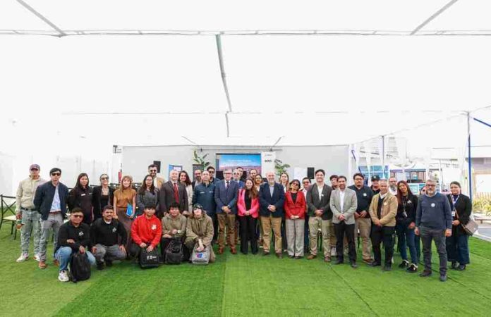 Talento Verde Tarapacá capacitará a 300 estudiantes de liceos técnicos profesionales y educación superior en competencias para la economía sostenible Talento Verde Tarapacá capacitará a 300 estudiantes de liceos técnicos profesionales y educación superior en competencias para la economía sostenible