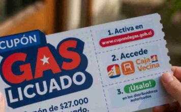 ¿Qué ocurre si una persona vende o utiliza incorrectamente el cupón del gas? ¿Qué ocurre si una persona vende o utiliza incorrectamente el cupón del gas?