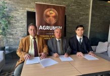 AGRUMIN llama a eliminar trabas que frenan la reactivación y crecimiento de la pequeña minería AGRUMIN llama a eliminar trabas que frenan la reactivación y crecimiento de la pequeña minería