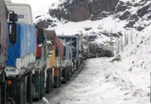 Advierten desabastecimiento parcial por demoras en pasos fronterizos y critican a seremi de Economía