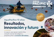 AquaPacífico conmemora 10 años con encuentro institucional que pone en perspectiva sus resultados y proyecta el futuro de la innovación acuícola AquaPacífico conmemora 10 años con encuentro institucional que pone en perspectiva sus resultados y proyecta el futuro de la innovación acuícola