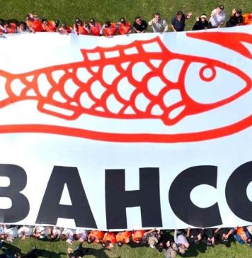 BAHCO reunió a 60 podadores en su Concurso de Poda Profesional en Perú