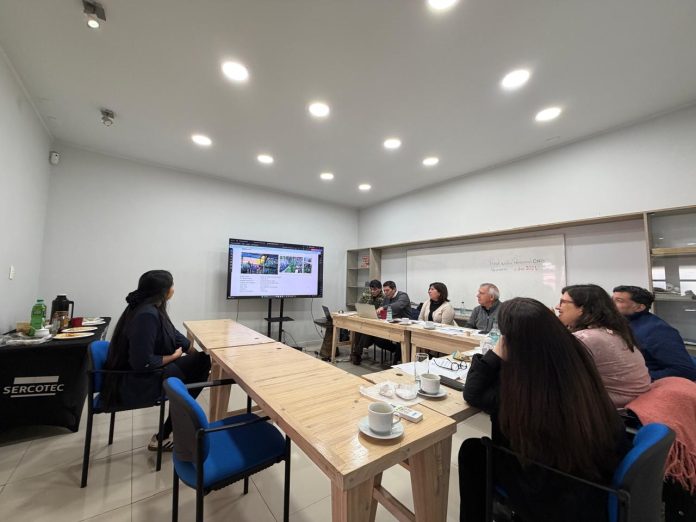 Capital Abeja y Capital Semilla Emprende entran en su recta final: postulantes del Biobío presentan sus proyectos ante el comité de Sercotec