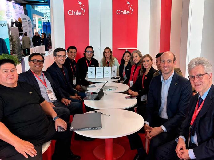 De Antofagasta al mundo: empresas tecnológicas aceleran su salto a mercados internacionales