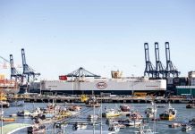 Chile recibe el mayor cargamento de vehículos NEV en una sola operación marítima