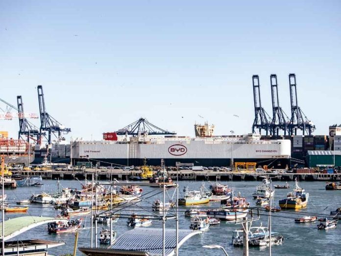 Chile recibe el mayor cargamento de vehículos NEV en una sola operación marítima