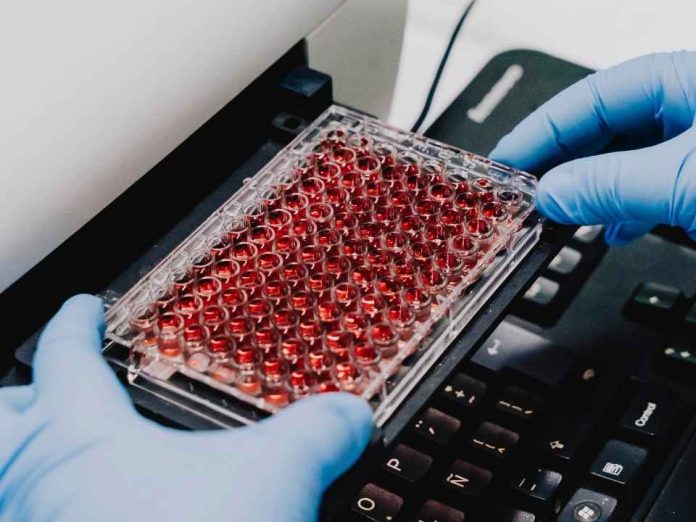 Científicos crean un “ñache biotecnológico” a partir de la sangre de cerdo y obtienen tres ingredientes Científicos crean un “ñache biotecnológico” a partir de la sangre de cerdo y obtienen tres ingredientes