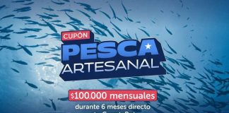 Con un total de 55 beneficiarios en la región autoridades llaman a pescadores artesanales a hacer uso del Cupón de Pesca