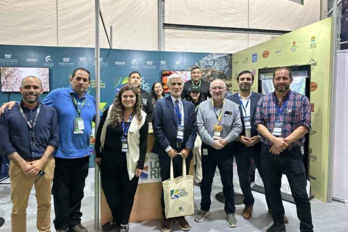 Del sur al corazón minero El debut de la Región de Los Ríos en EXPONOR 2026 Del sur al corazón minero: El debut de la Región de Los Ríos en EXPONOR 2026